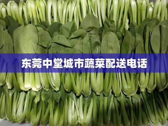 东莞中堂城市蔬菜配送电话