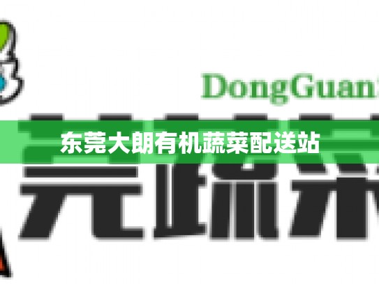 东莞大朗有机蔬菜配送站