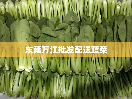 东莞万江批发配送蔬菜