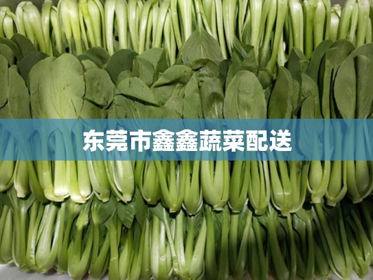 东莞市鑫鑫蔬菜配送