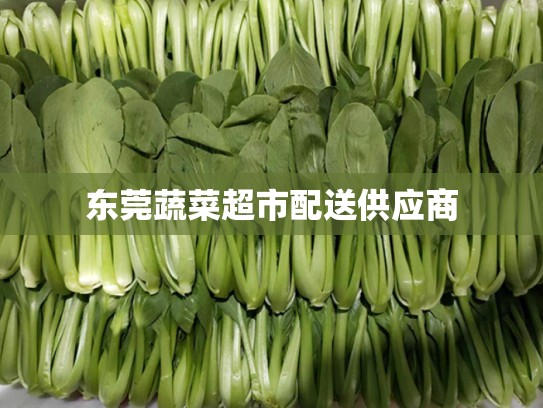 东莞蔬菜超市配送供应商