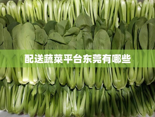 配送蔬菜平台东莞有哪些