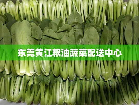 东莞黄江粮油蔬菜配送中心