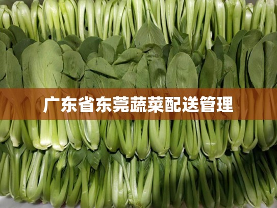 广东省东莞蔬菜配送管理