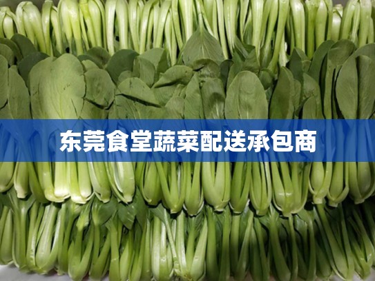 东莞食堂蔬菜配送承包商