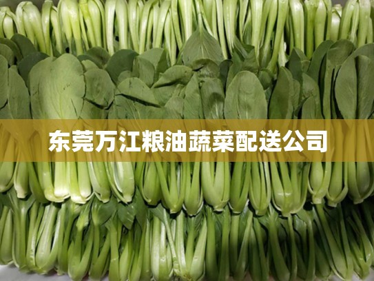 东莞万江粮油蔬菜配送公司