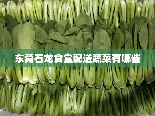 东莞石龙食堂配送蔬菜有哪些