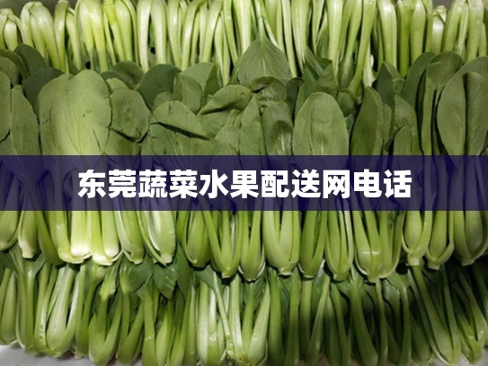 东莞蔬菜水果配送网电话