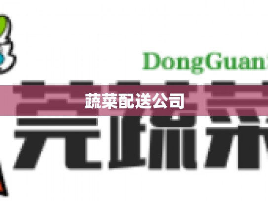 蔬菜配送公司