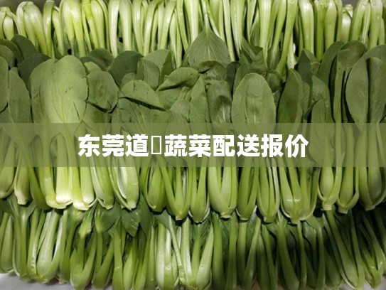 东莞道滘蔬菜配送报价