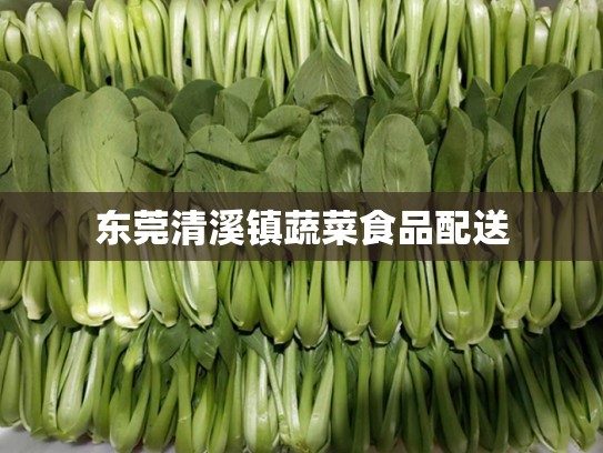 东莞清溪镇蔬菜食品配送