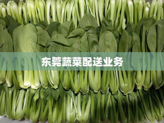 东莞蔬菜配送业务