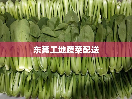 东莞工地蔬菜配送