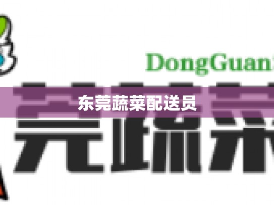 东莞蔬菜配送员