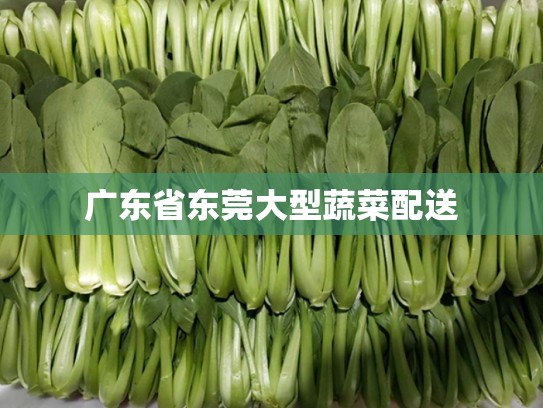 广东省东莞大型蔬菜配送