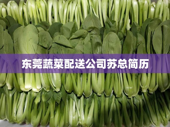 东莞蔬菜配送公司苏总简历