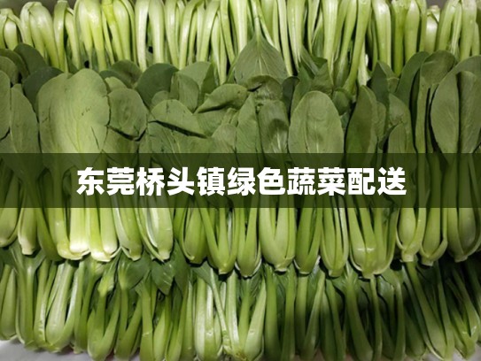 东莞桥头镇绿色蔬菜配送