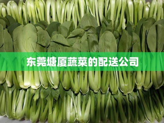 东莞塘厦蔬菜的配送公司