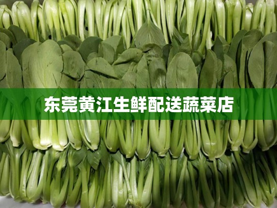 东莞黄江生鲜配送蔬菜店