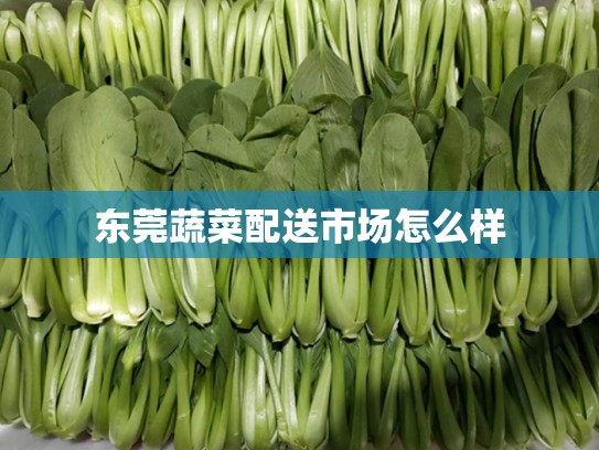 东莞蔬菜配送市场怎么样