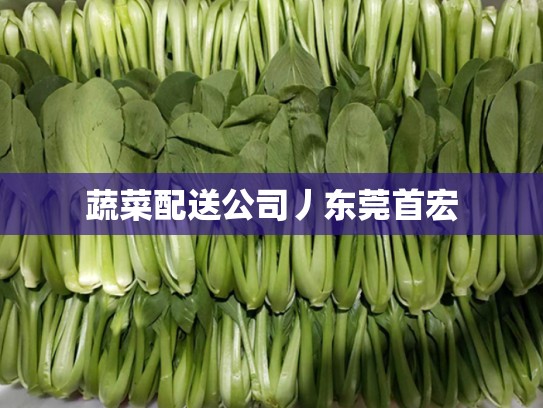 蔬菜配送公司丿东莞首宏