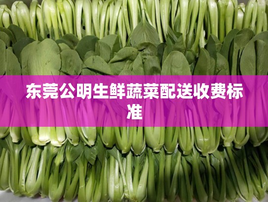 东莞公明生鲜蔬菜配送收费标准