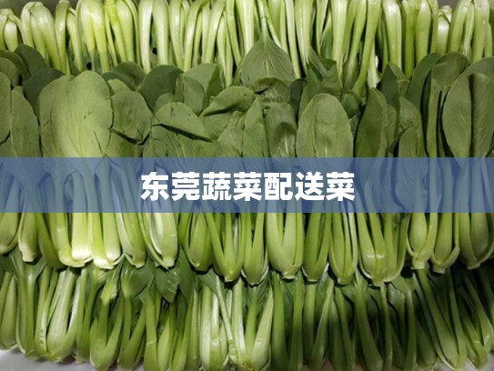 东莞蔬菜配送菜