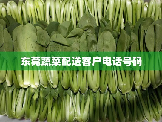 东莞蔬菜配送客户电话号码