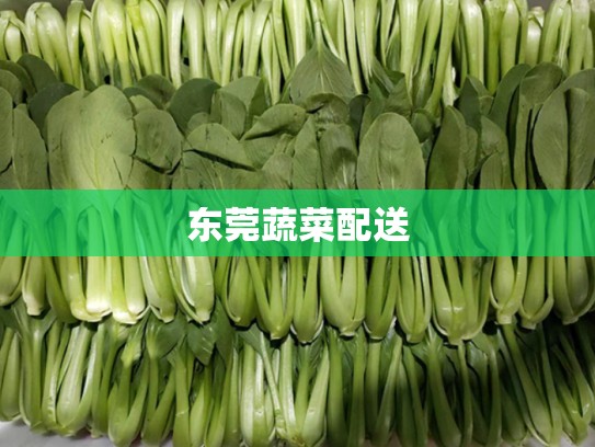 东莞蔬菜配送