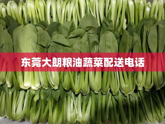 东莞大朗粮油蔬菜配送电话
