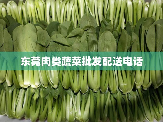 东莞肉类蔬菜批发配送电话