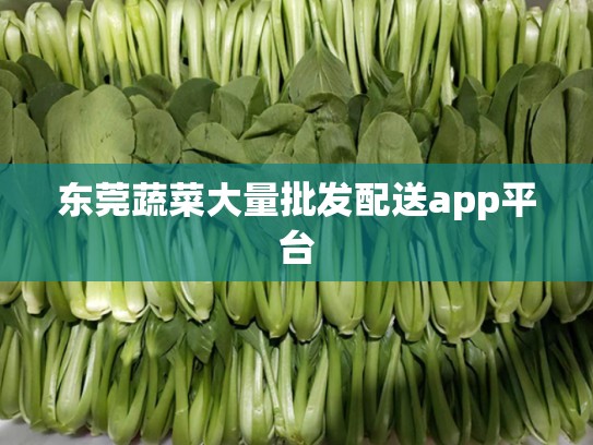 东莞蔬菜大量批发配送app平台