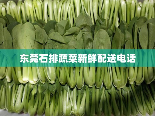 东莞石排蔬菜新鲜配送电话