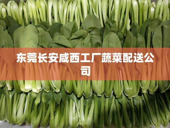 东莞长安咸西工厂蔬菜配送公司