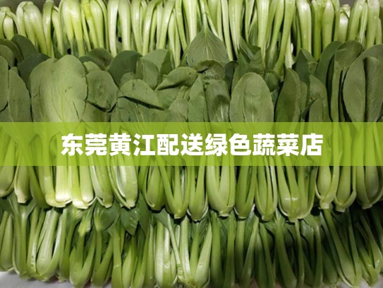 东莞黄江配送绿色蔬菜店