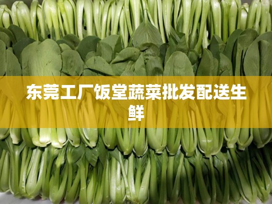 东莞工厂饭堂蔬菜批发配送生鲜