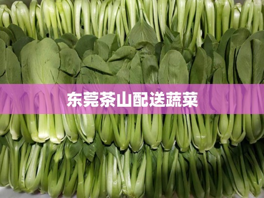 东莞茶山配送蔬菜