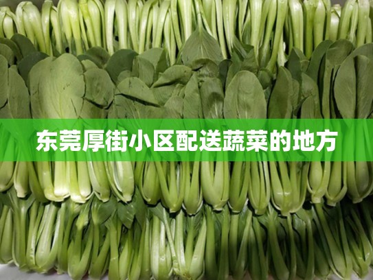 东莞厚街小区配送蔬菜的地方