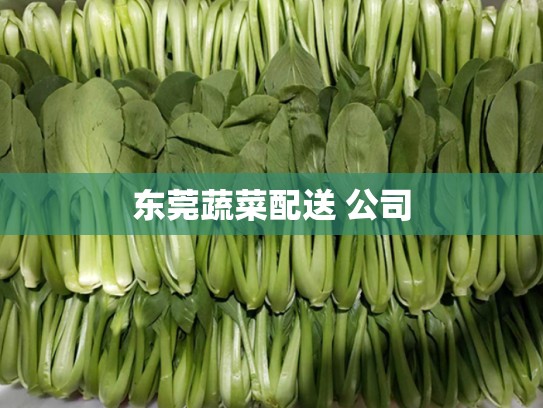 东莞蔬菜配送 公司
