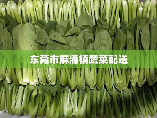 东莞市麻涌镇蔬菜配送