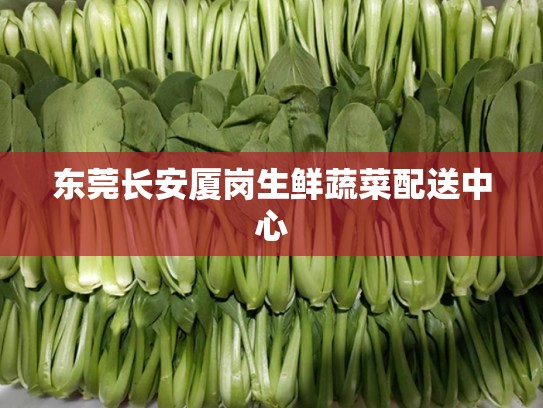 东莞长安厦岗生鲜蔬菜配送中心