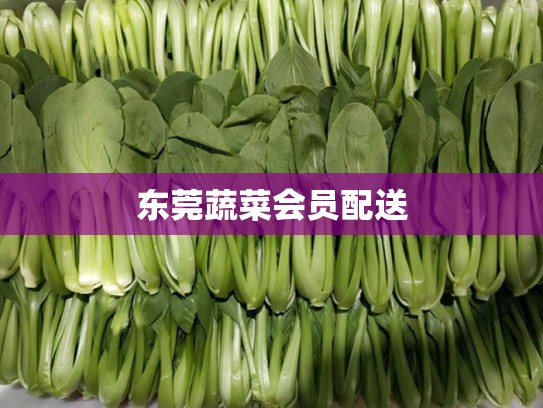 东莞蔬菜会员配送