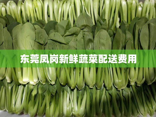 东莞凤岗新鲜蔬菜配送费用