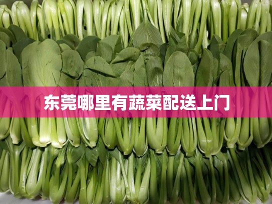 东莞哪里有蔬菜配送上门