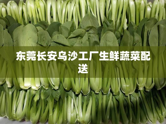 东莞长安乌沙工厂生鲜蔬菜配送