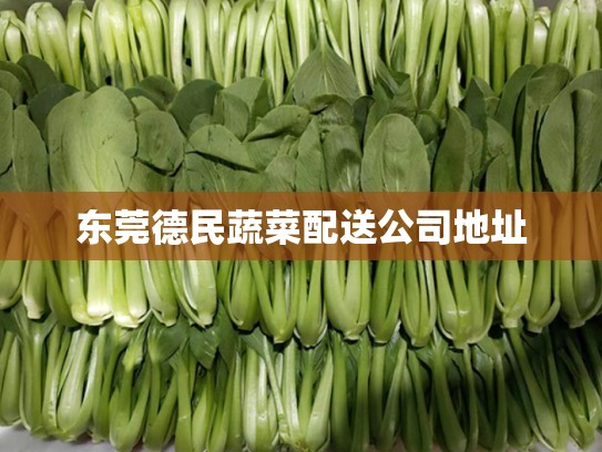 东莞德民蔬菜配送公司地址