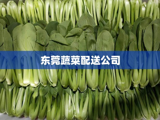 东莞蔬菜配送公司