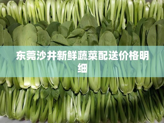 东莞沙井新鲜蔬菜配送价格明细