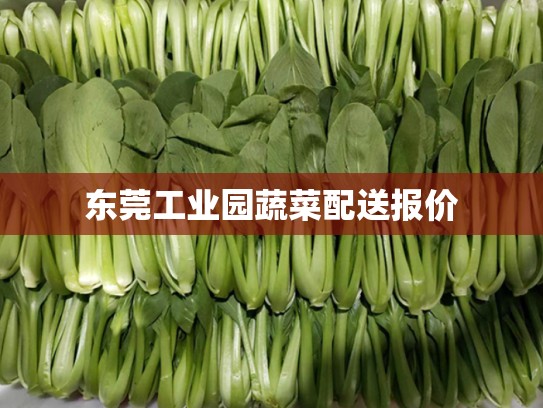 东莞工业园蔬菜配送报价