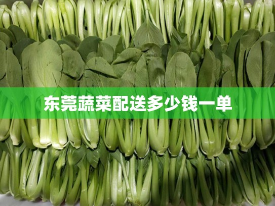 东莞蔬菜配送多少钱一单